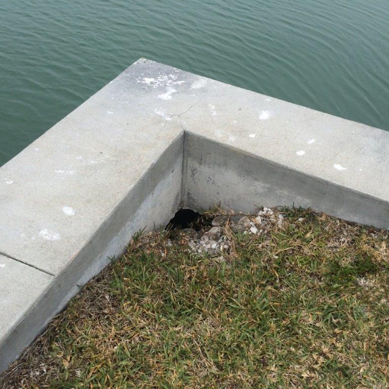 The Definitive Guide To Bulkhead Repair & Reversing Seawall Erosion