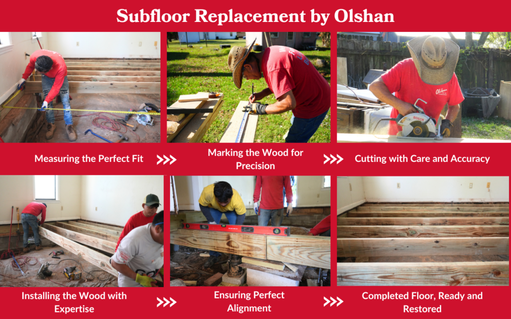 Wood/Subfloor Replacement by Olshan