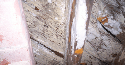 mold on basement wall